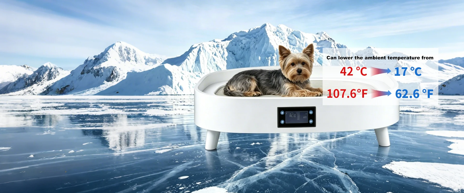 Cama para fornecedor de animais de estimação Cama para fornecedor de animais de estimação