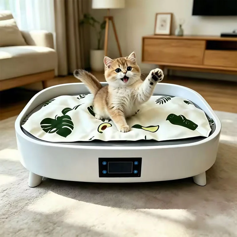 Cama de gato para o verão